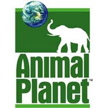 Animal Planet animalplanet