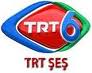 TRT6 trt6
